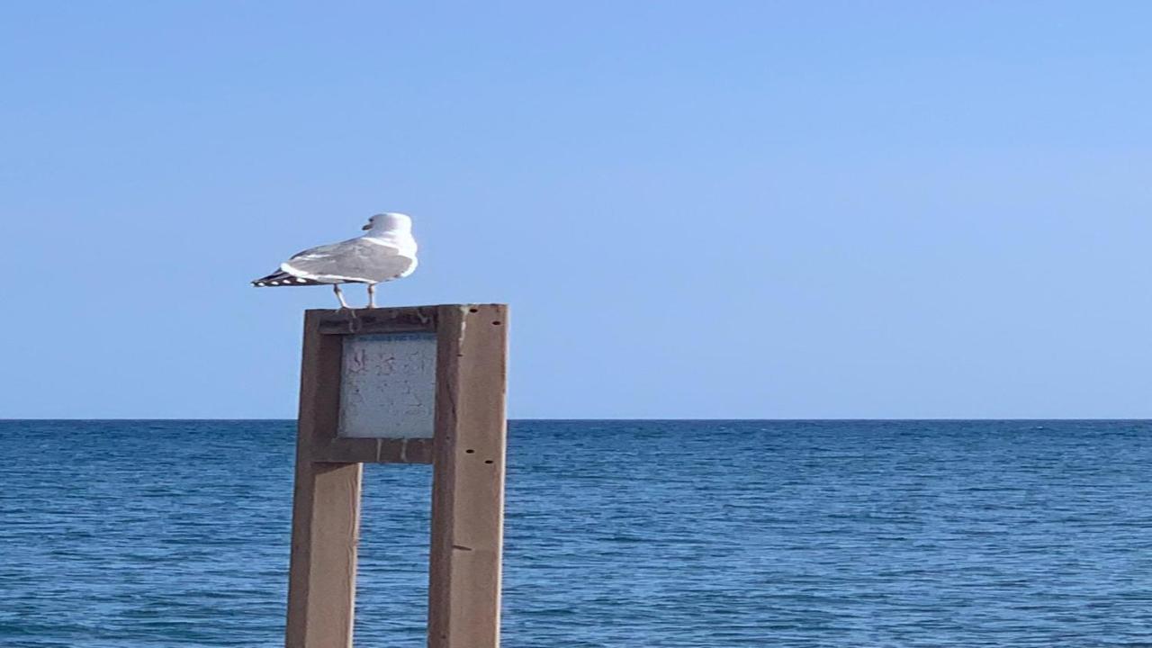 Welooveyou Aqua Lajita Buitenkant foto